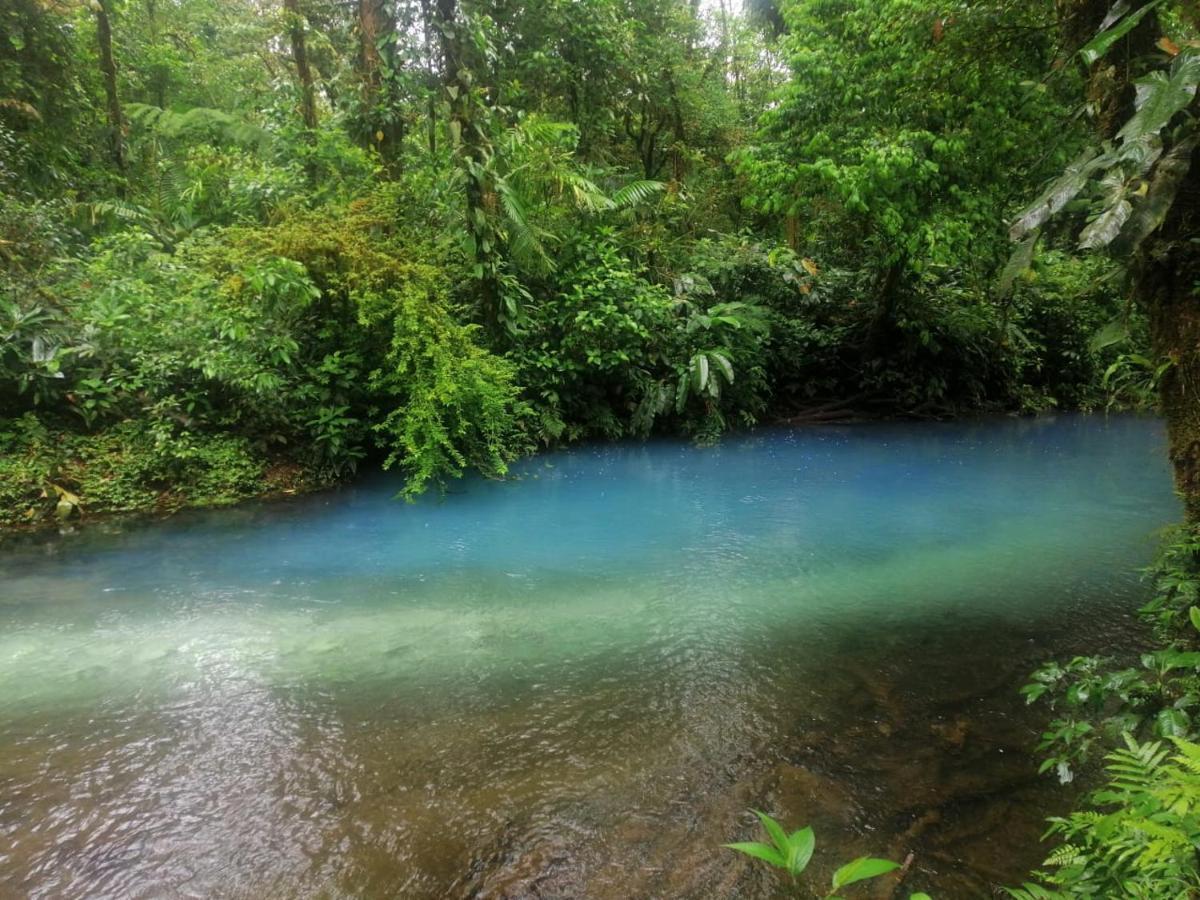 Posada Rio Celeste In Bed & Breakfast エクステリア 写真